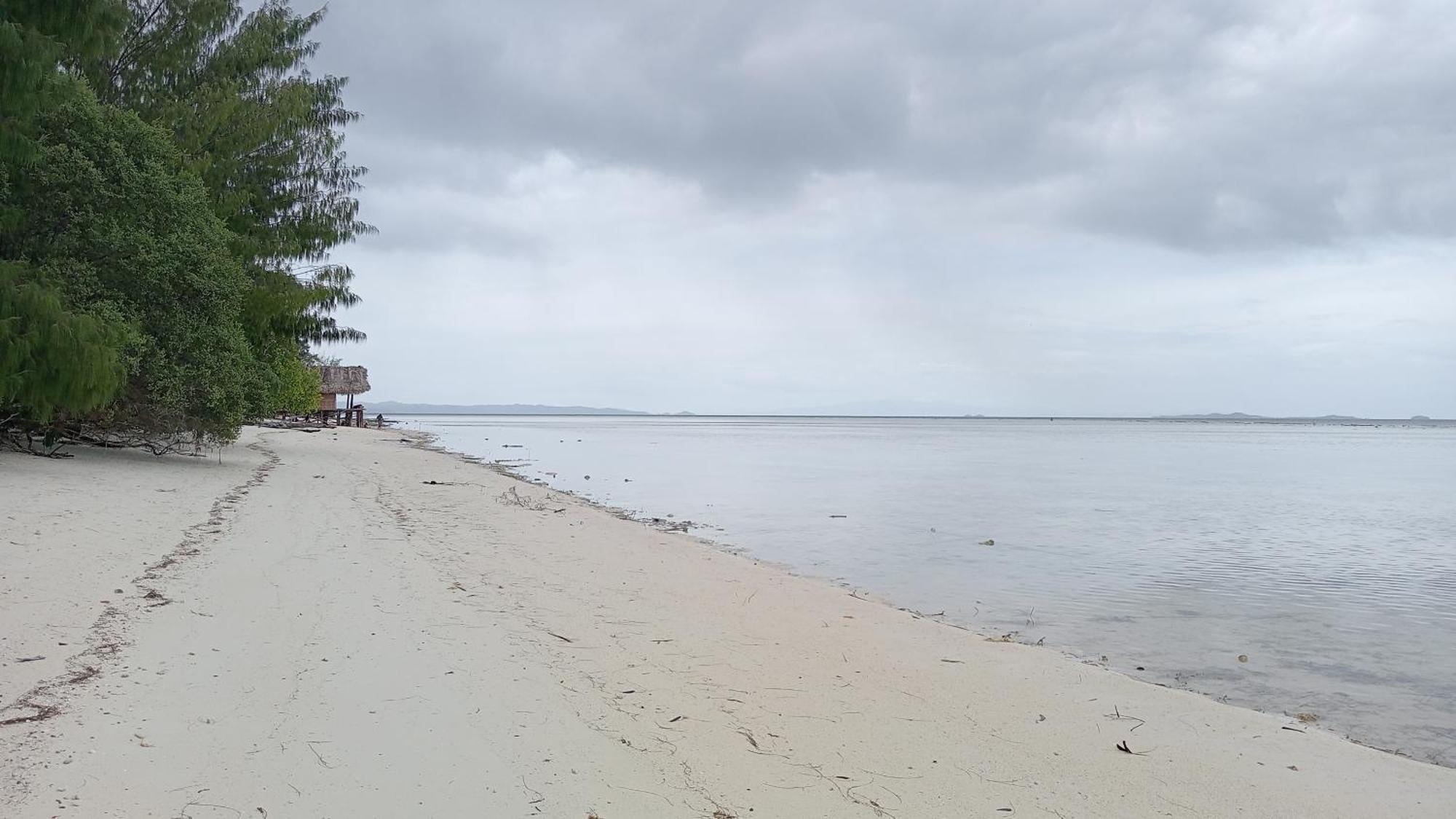 Coco Huts Guest House Waisai المظهر الخارجي الصورة