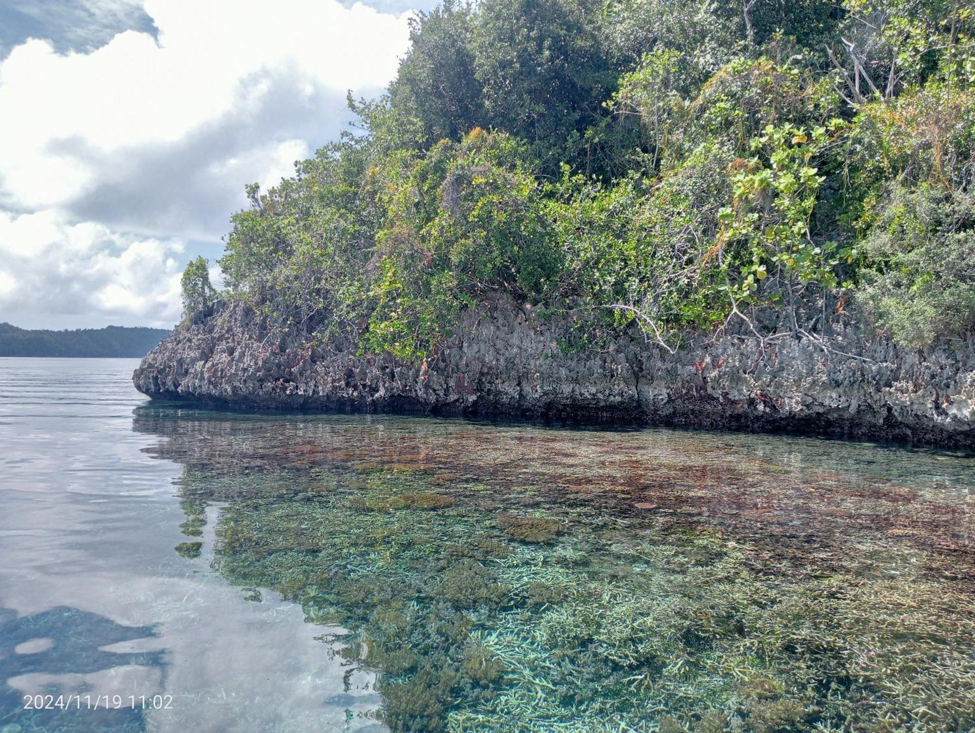 Coco Huts Guest House Waisai المظهر الخارجي الصورة