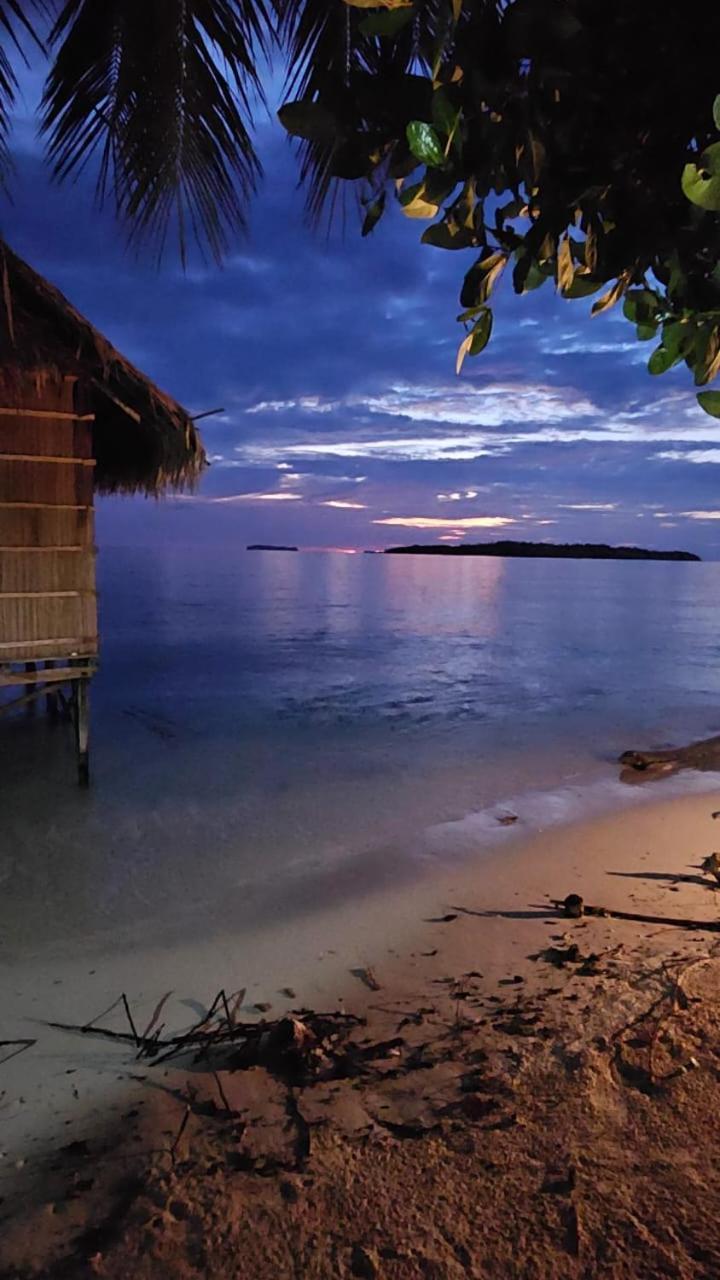 Coco Huts Guest House Waisai المظهر الخارجي الصورة