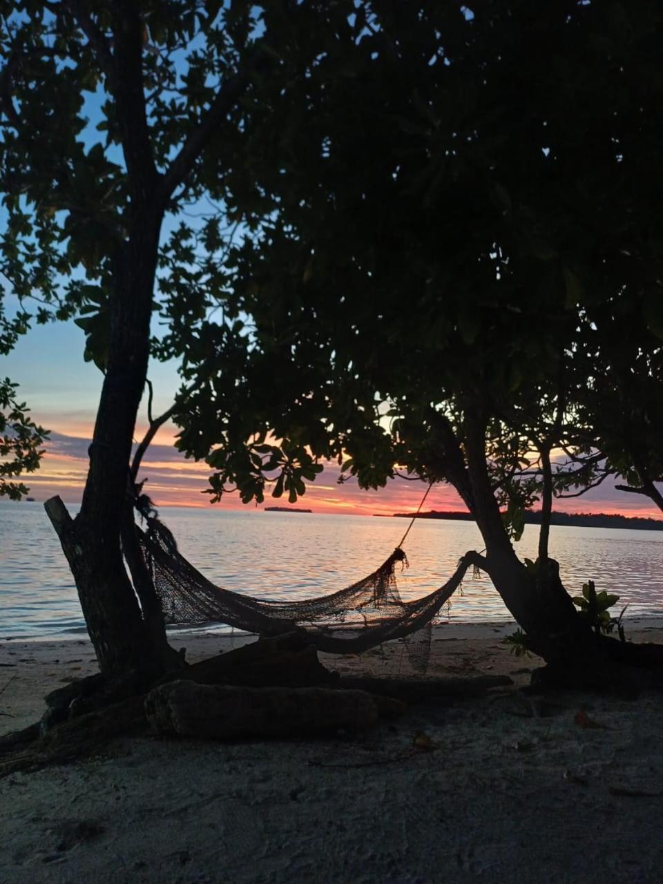 Coco Huts Guest House Waisai المظهر الخارجي الصورة