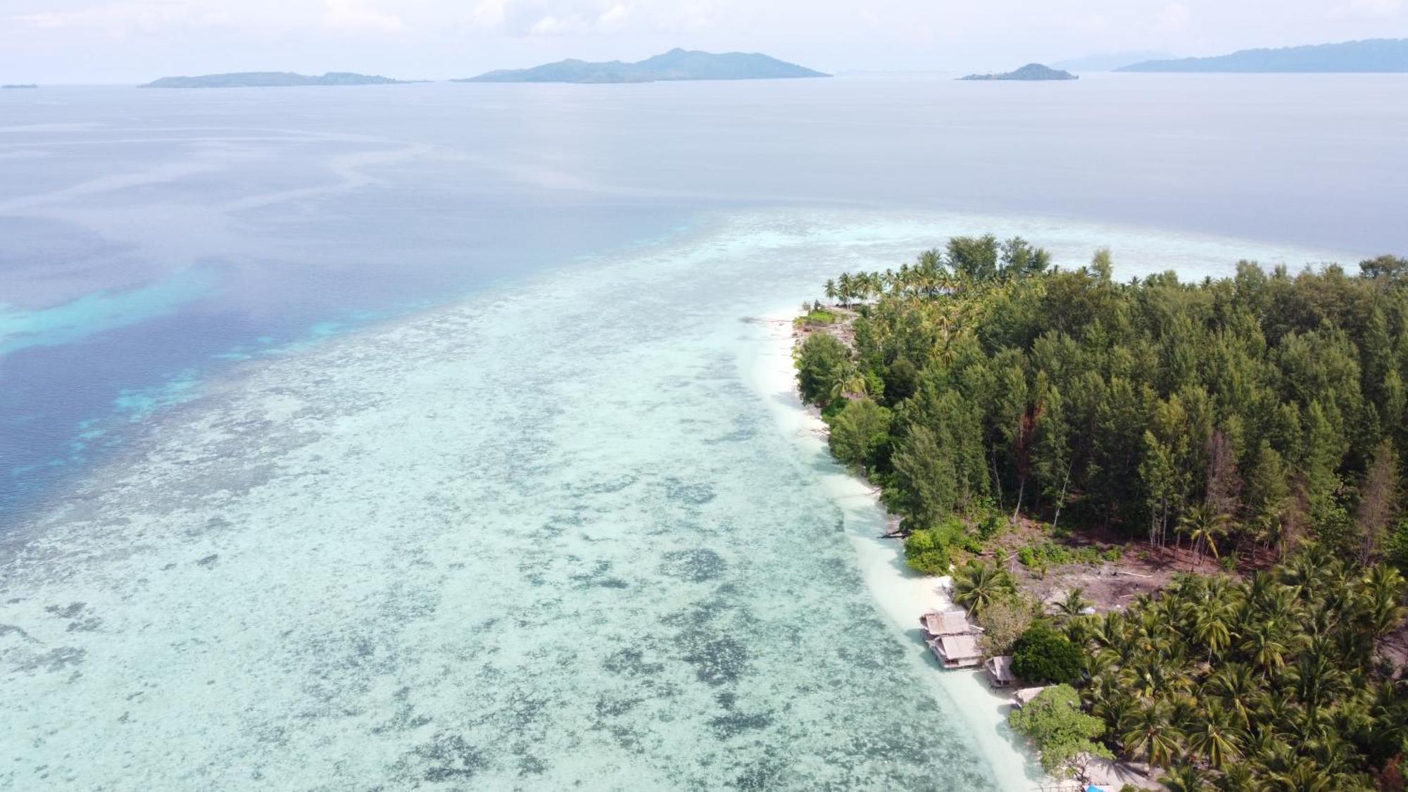 Coco Huts Guest House Waisai المظهر الخارجي الصورة